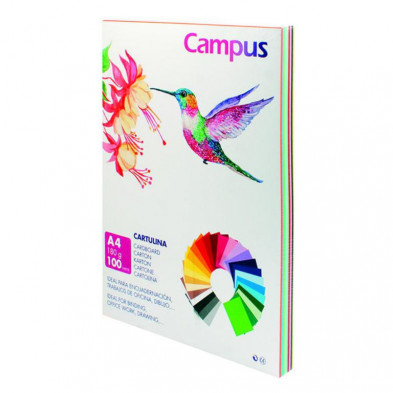 Cartulina Campus A4 180g color surtidos 100 ud