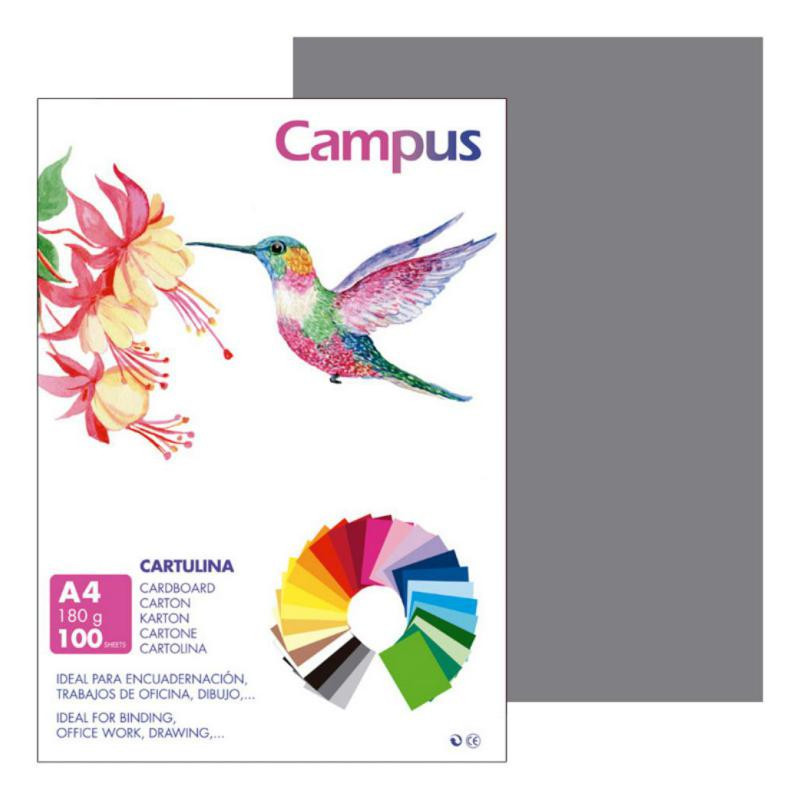 Cartulina Campus A4 Gris Plomo 180g