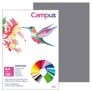 Cartulina Campus A4 Gris Plomo 180g