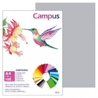 Cartulina Campus A4 Gris Perla 180g