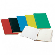 Carpeta Memoria Esselte A4 Carton Tela 355X245mm