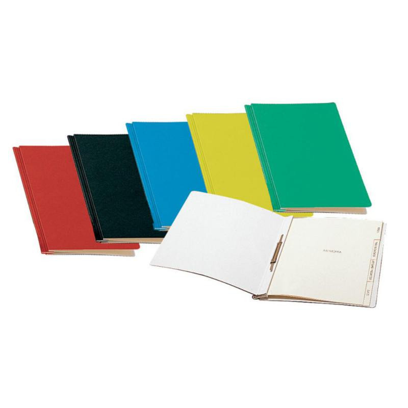 Carpeta Memoria Esselte A4 Carton Tela 355X245mm